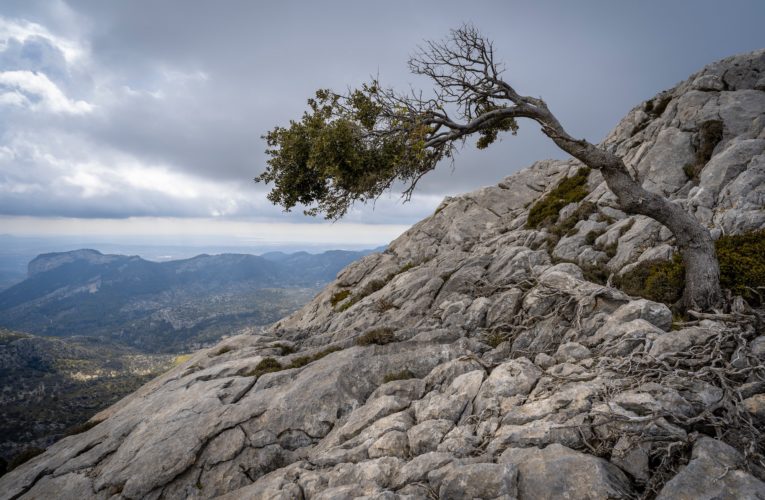 Lubbock: The Importance of Resilience in Overcoming Trauma
